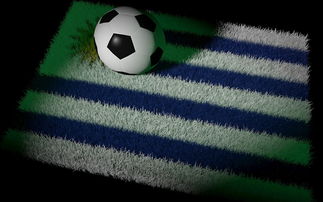 开云体育官网-巴黎圣日耳曼轻取国米，梅西梅开二度法甲