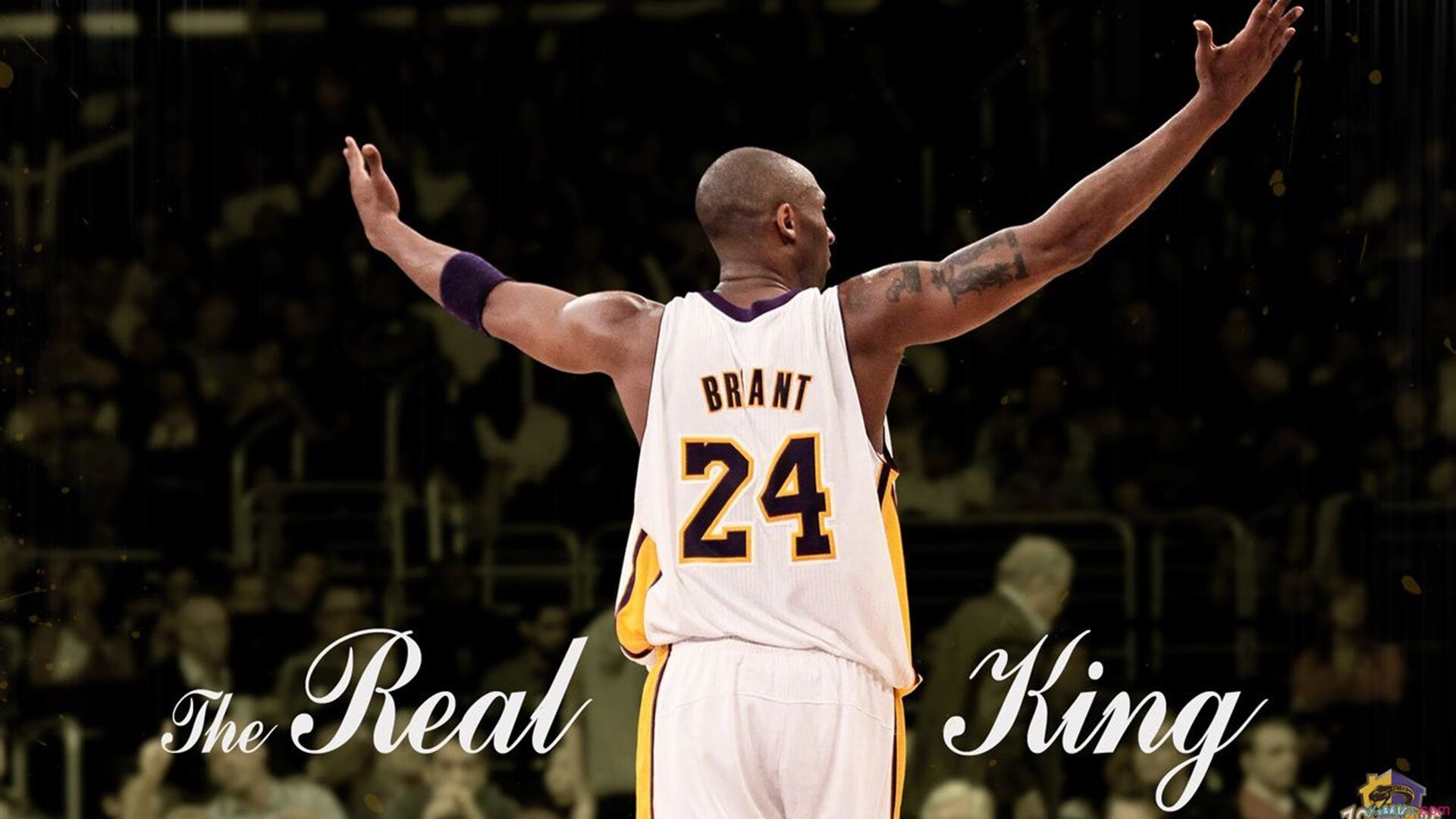 体育跨界焦点，F1新赛季揭幕战与吉林队强行终结开拓者的激情碰撞