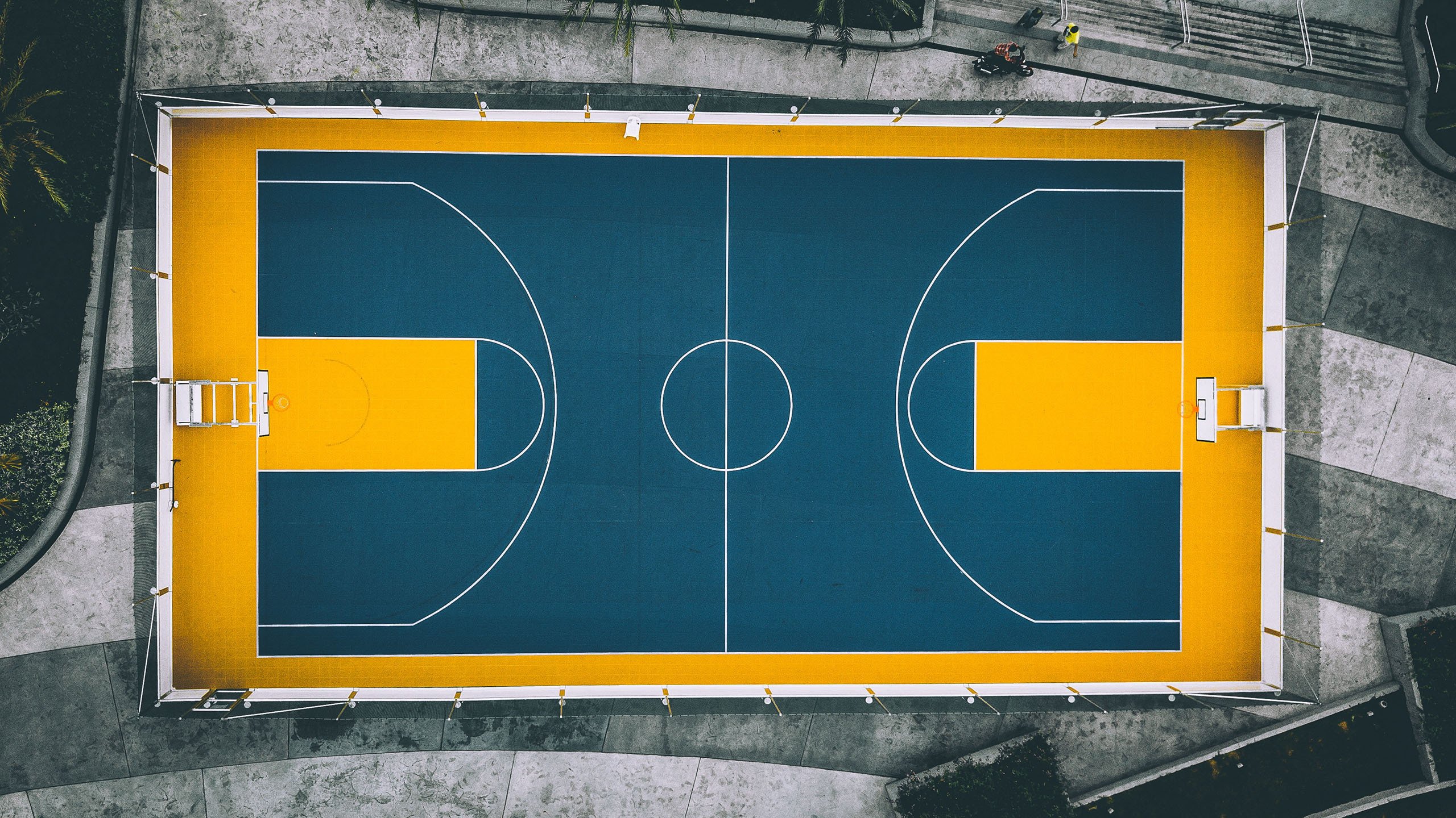 北欧风暴席卷中北美，阿诺德双面角色导演挪威世界杯开门红